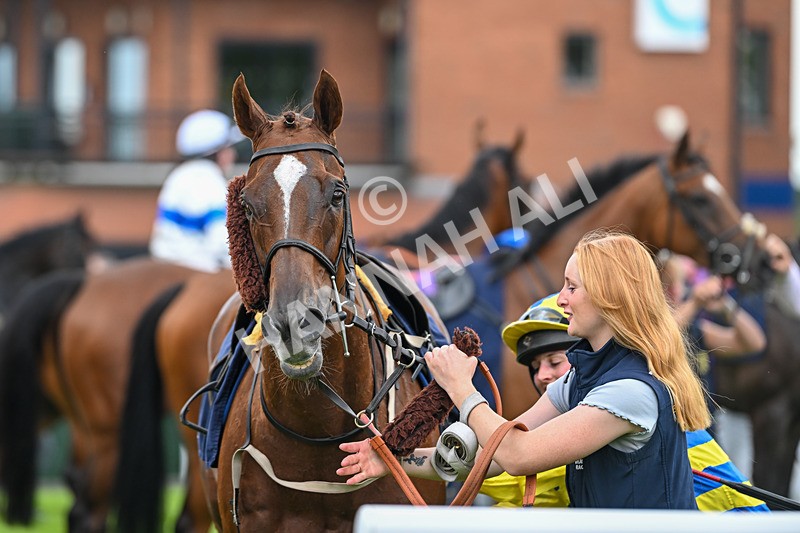 290725-Race 1-Poets Dawn - Star Start-9464 - Race 1