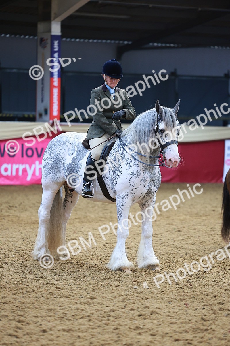 SBM_12655 - Class 103 - HOYS Veteran Qualifier - Ridden Pre Vet