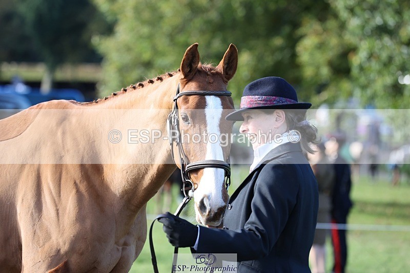 241027-102816-15907 - 502-Alison.Stewart-RICO.III