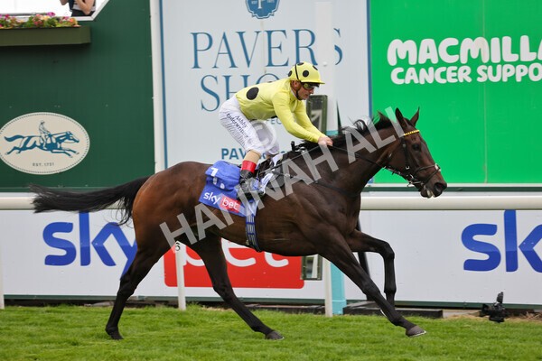 yr11062022r4-25 - Race 4 3.05pm Sky Bet Grand Cup