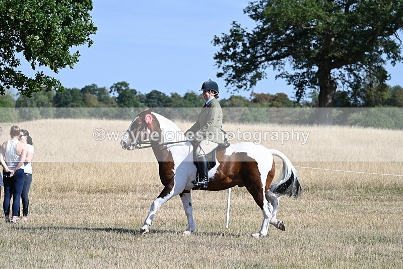 WJ7_3232 - Class 8 Ridden Tack & Turnout
