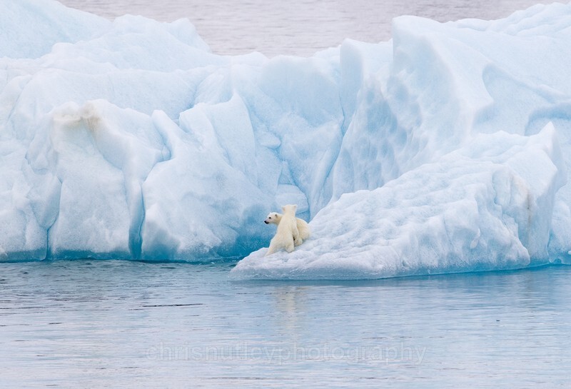  - Svalbard