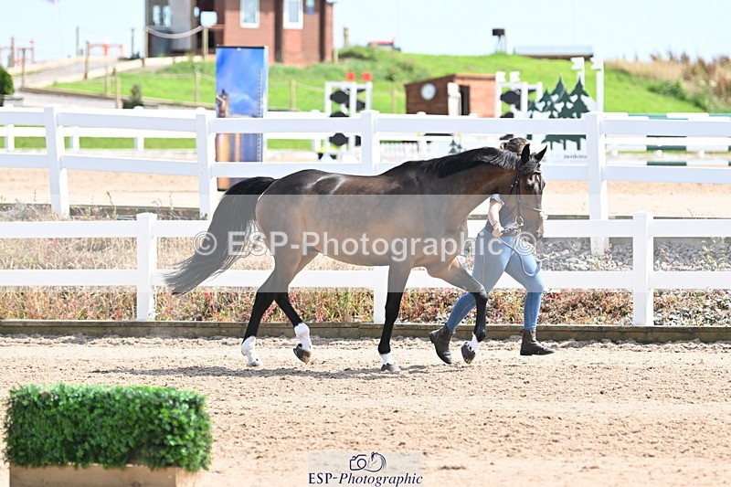 240717A-152156-02786 - Trot Up 3pm to 4pm