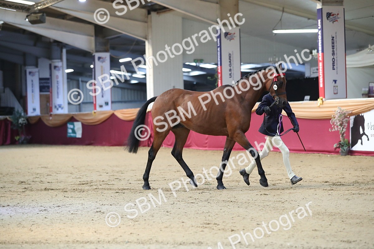 SBM_01417 - Class 3a Area IH Pre Vet
