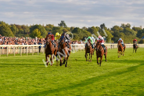 230923-Race 7-Two Brothers-7172 - Race 7 5.30pm Neil Atkinson's 60th Birthday Celebration Handicap