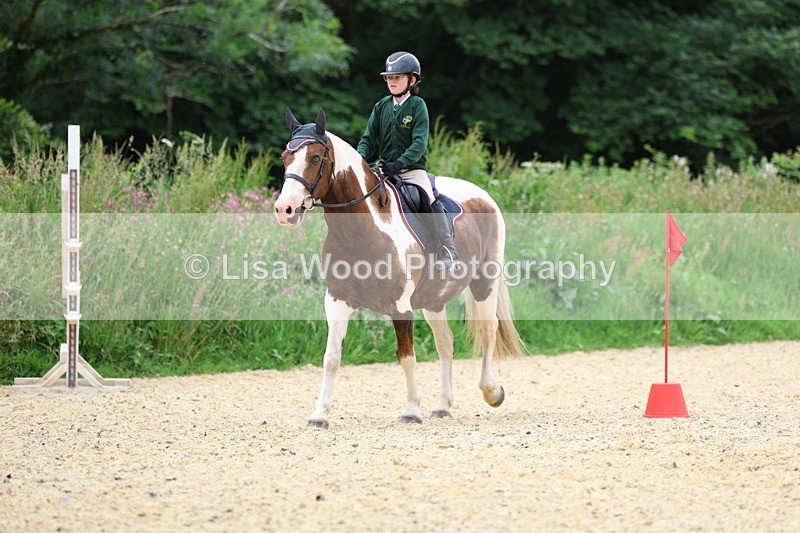 3E7A9408 - Walk trot run