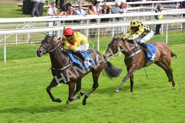 yr10072021r4-13 - Race 4: 3.30pm John Smith's Nursery Stakes