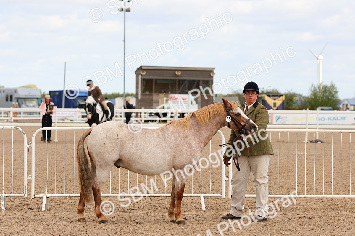 SBM_11937 - Class 209 - IH Veteran Pony