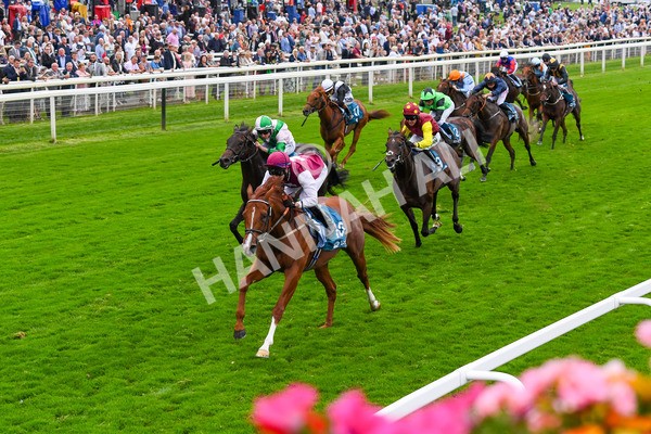 230823-Race 7-Zoulu Chief-0959 - Race 7 5.20pm Sky Bet Nursery Handicap