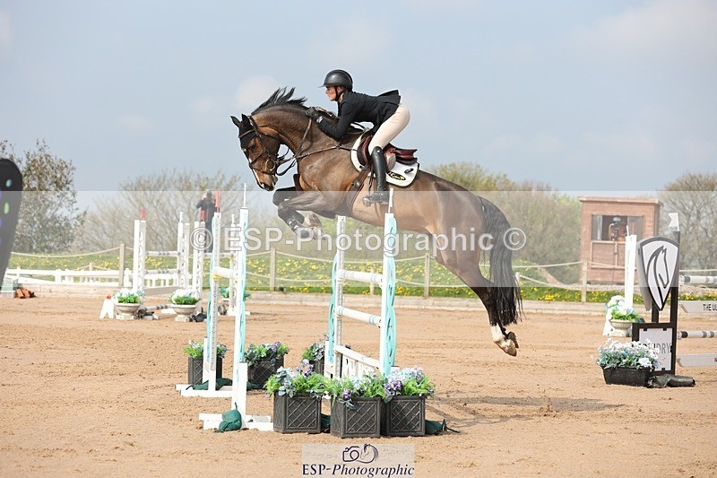 250424-102621-03011 - Cls 33 Young Horse 7yr old