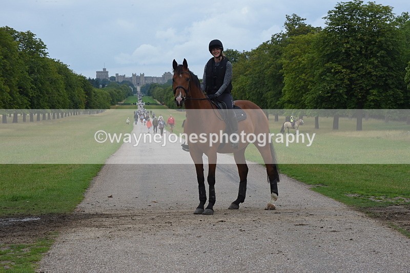 TT3_9558 - Time at Crossing 11:28 to 13:16