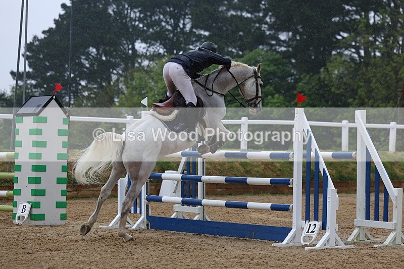 3E7A7339 - Class 8: Senior Foxhunter/1.20 open