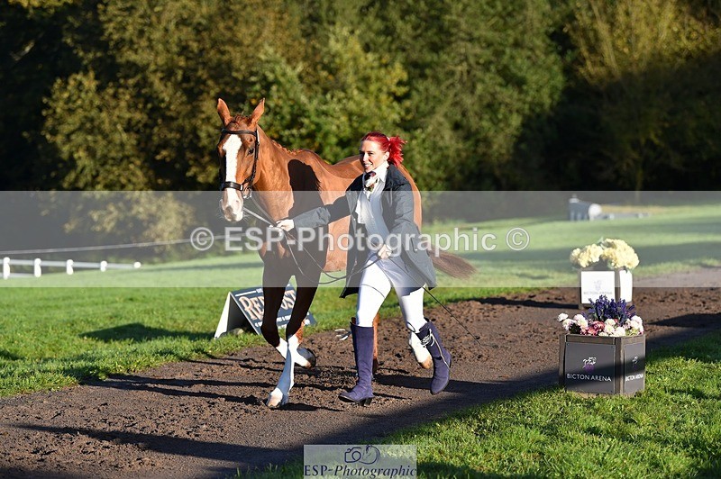 231022-091336-21630 - 613-CAVS.GIRL-Anna.Webster-TrotUp+SJ