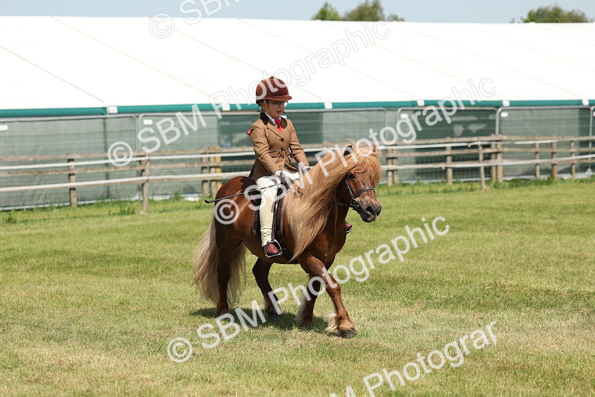 SBM_05344 - Class 24-25 - Mountain & Moorland In Hand Lead Rein and First Ridden