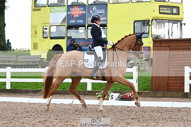 240218A-104240-06193 - 272-Beth.Bainbridge-Newton.Dreamcatcher