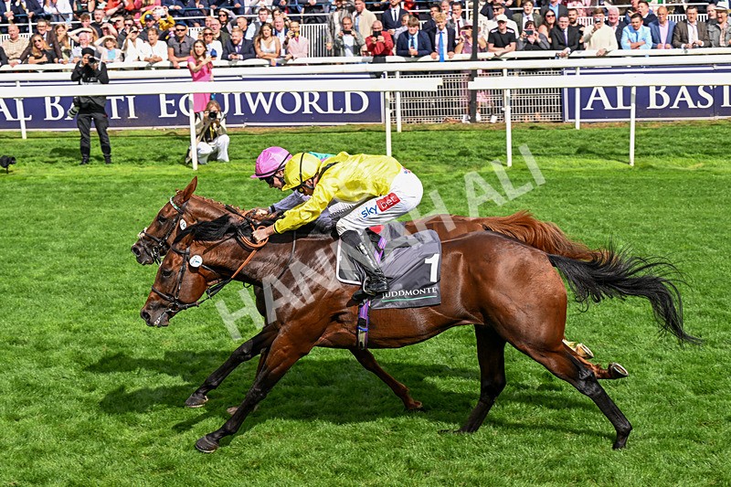 190826-Race 4-Item-0500 - Race 4 15.35pm Juddmonte International Stakes