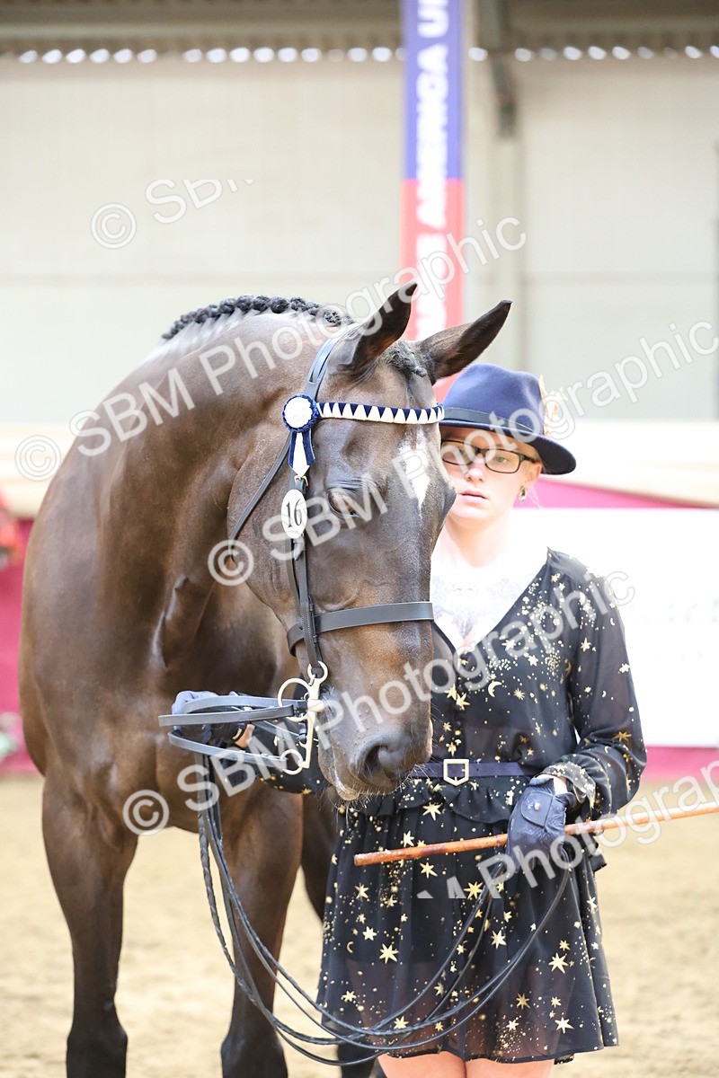 SBM_23355 - Class 903 - Supreme Final - IH Pre Vet