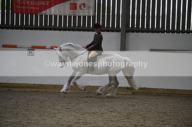 WJ7_4178 - Class 17 Ridden Cob