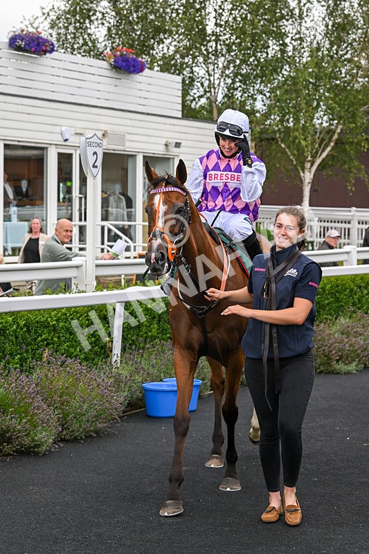 190824-Race 1-Shes A Novelty-3305 - Race 1