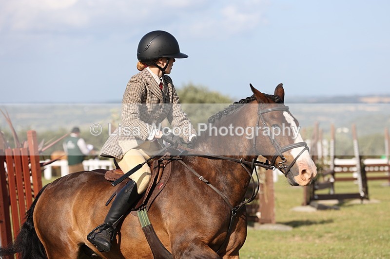 JPP_3214 - Class 21: Working Hunter 80cm