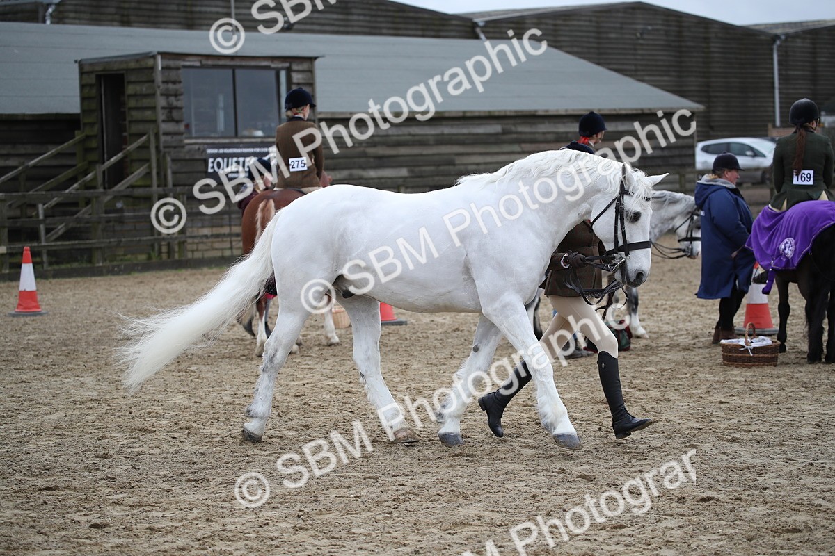 SBM_006408 - Class 10-13 - RIHS Small Large Breeds