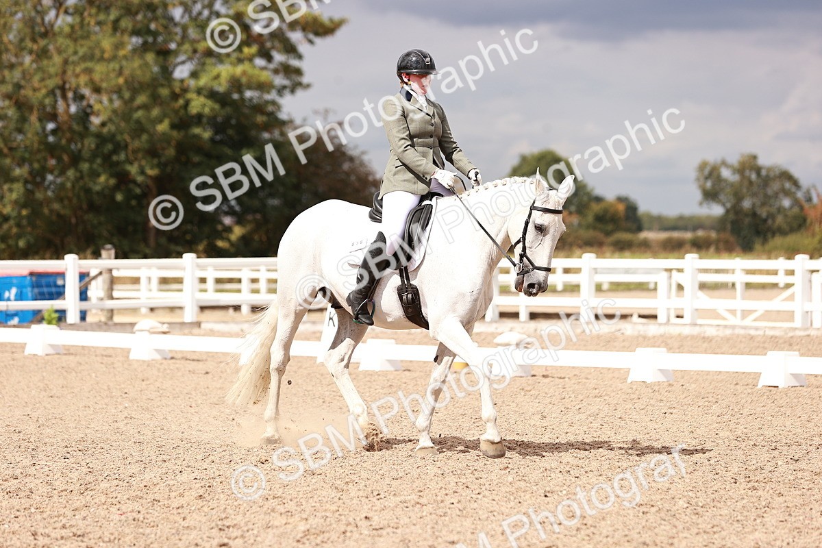 SBM_06318 - Class 37 - Novice 5