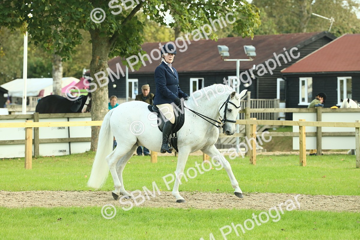 SBM_62384 - S62 - Foreign Breeds Ridden