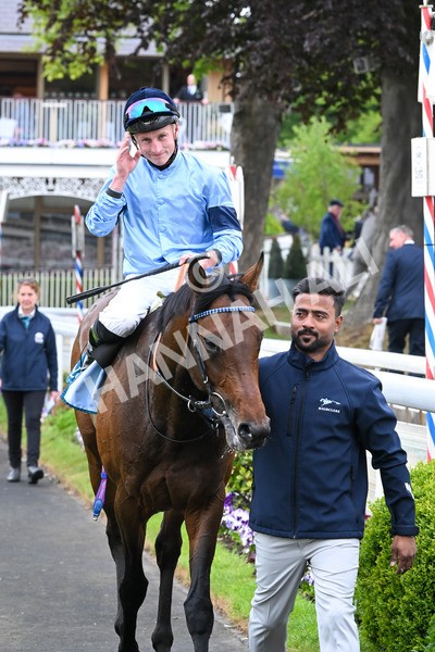 150525-Merchant-5401 - Race 7 5.25pm Haxby Handicap