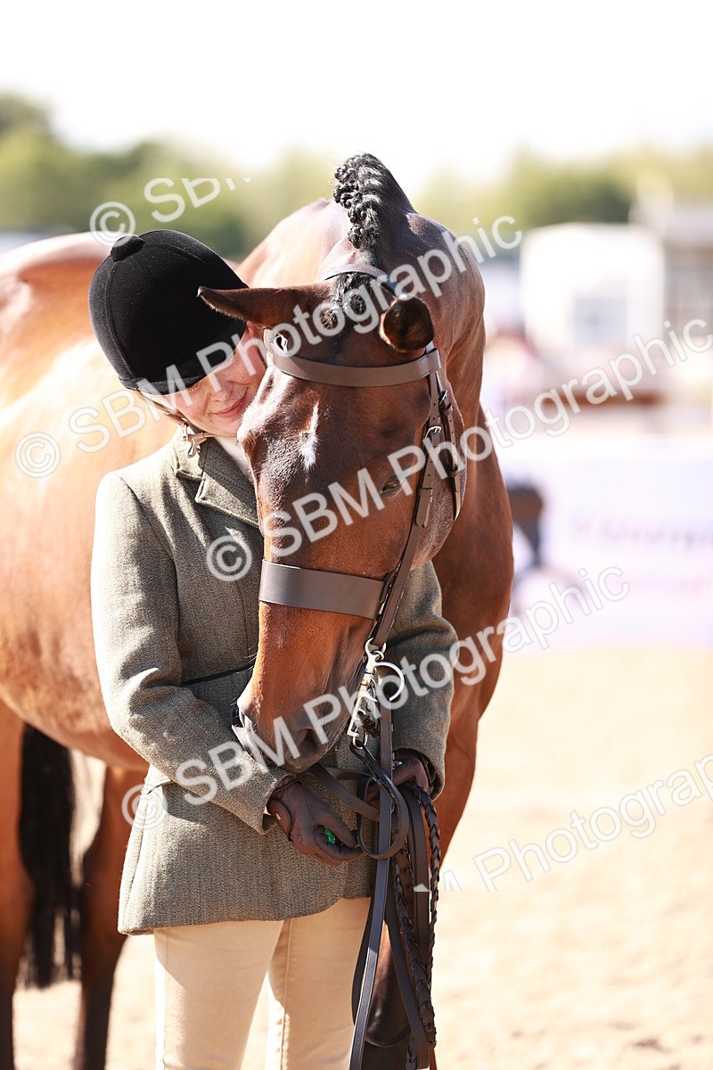 SBM_13335 - class 406 - IH Hunter