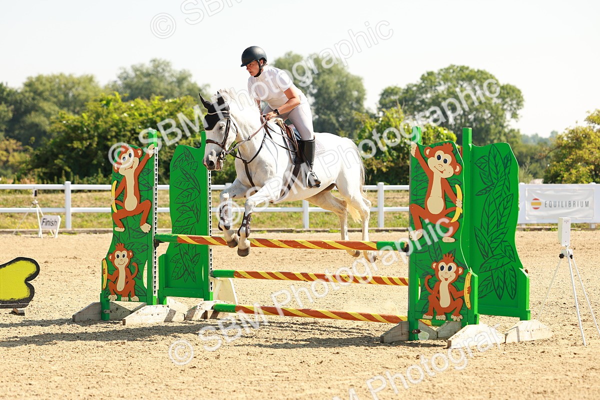 SBM_000081 - Class 2 - Senior British Novice - 90cm