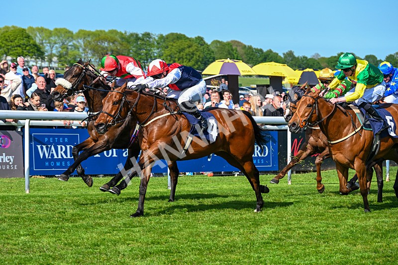 040526-Race 5-Copper Knight-2624 - Race 5