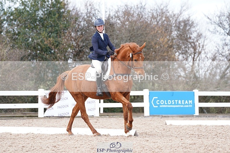 250322-131954-00482 - DR Elementary 2 Test