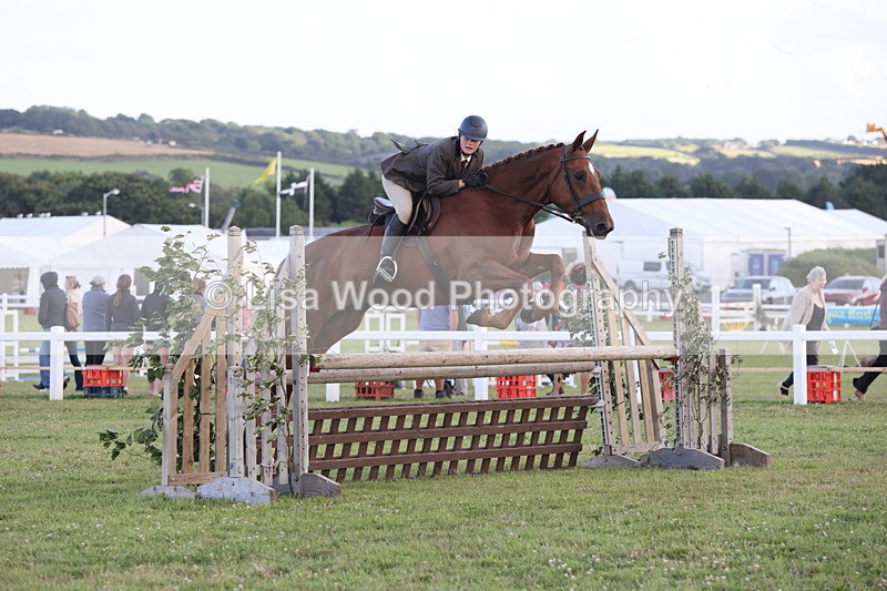 JPP_3668 - Class 24: Open Working Hunter