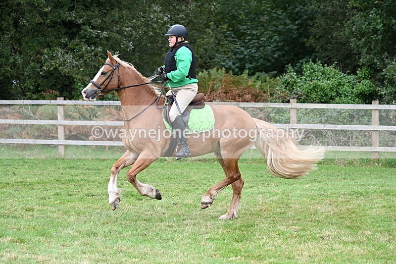 WJ7_7814 - 40cm Time 10:49 to 11:18