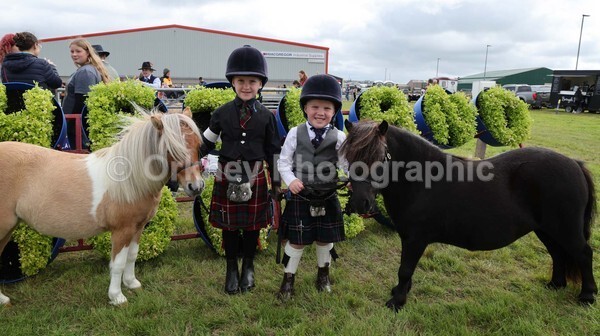 untitled-7048 - Shetland Pony Show