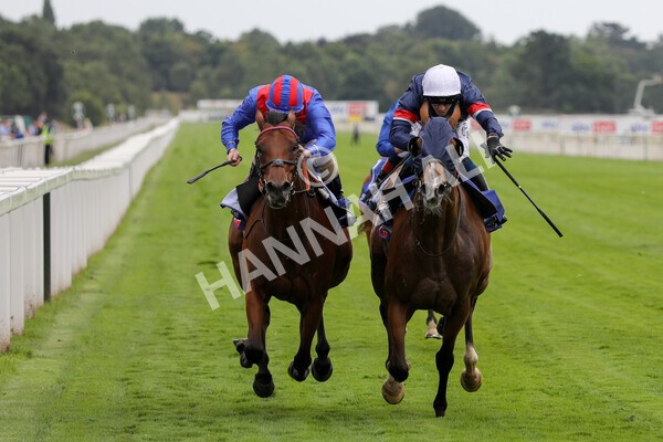 yr23072022r3-25 - Race 3 3.15pm Sky Bet York Stakes
