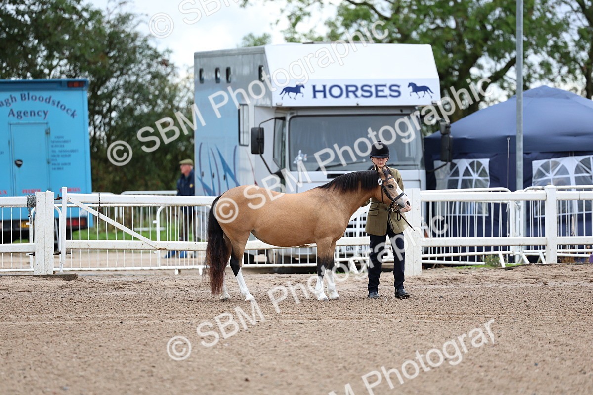 SBM_00226 - Class 13 - Young Handler