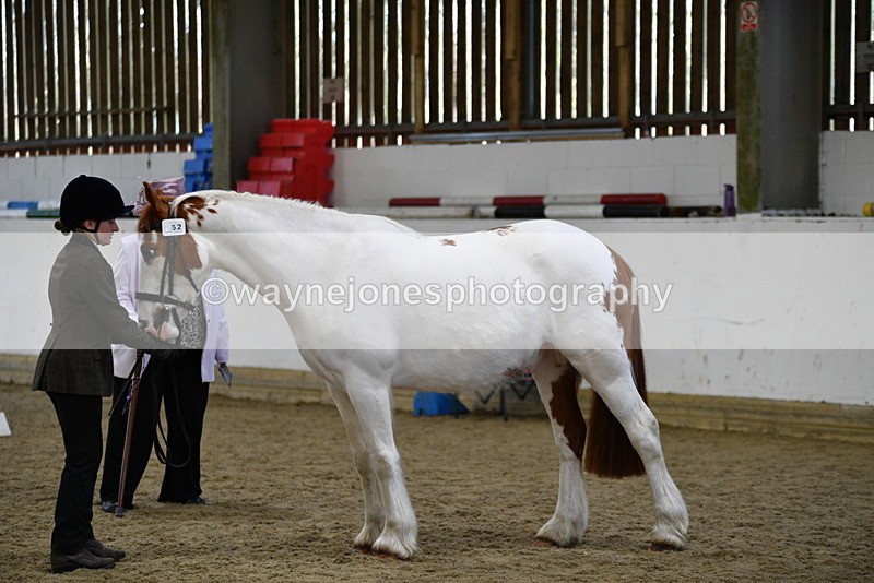 WJ5_5050 - Class 7 In hand coloured / odd coloured