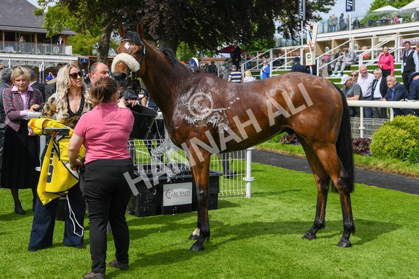 170523-Race 2-Bielsa-0334 - Race 2 2.25pm Churchill Tyres Handicap