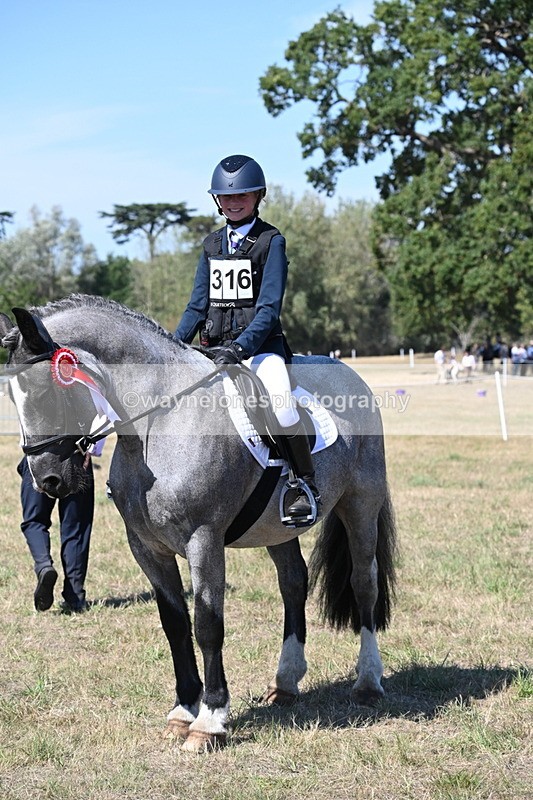 WJ6_8734 - Class 37b Best Loan Pony In-hand