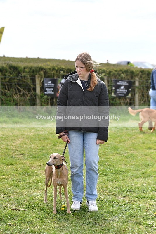 WJ5_9852 - Class 3 Most Handsome Dog