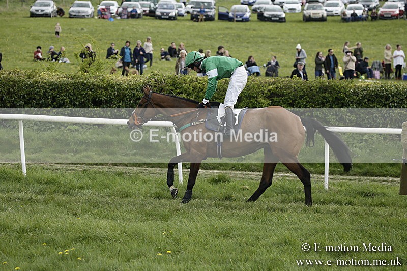 PtP 170417 201 - Old Berks Point-to-Point Lockinge 17/04/17