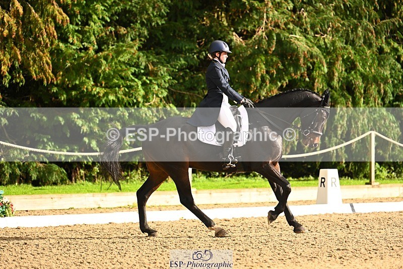 231021-153545-20900 - 259-BOSTON.IV-Rosie.Thomson-DR