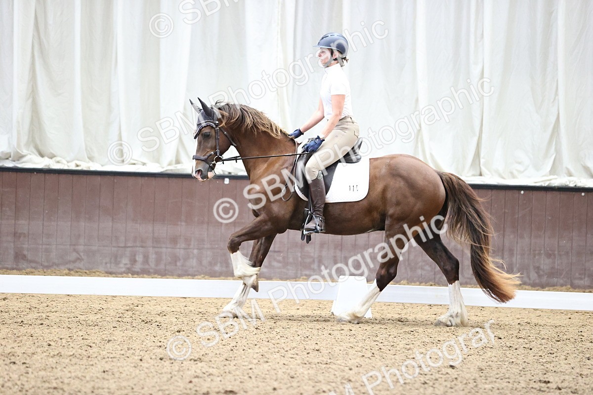 SBM_000521 - Novice 4 Warm Up