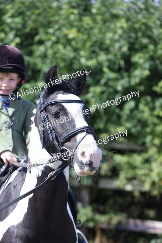 20250831-2548 - Class 16 - Family Pony