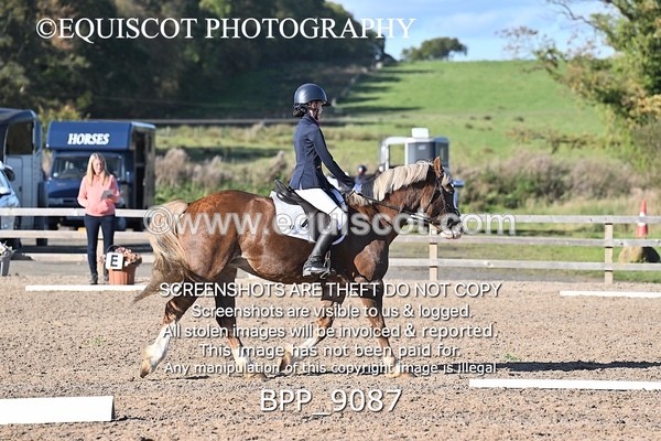 BPP_9087 - SHORT ARENA INTRO 3