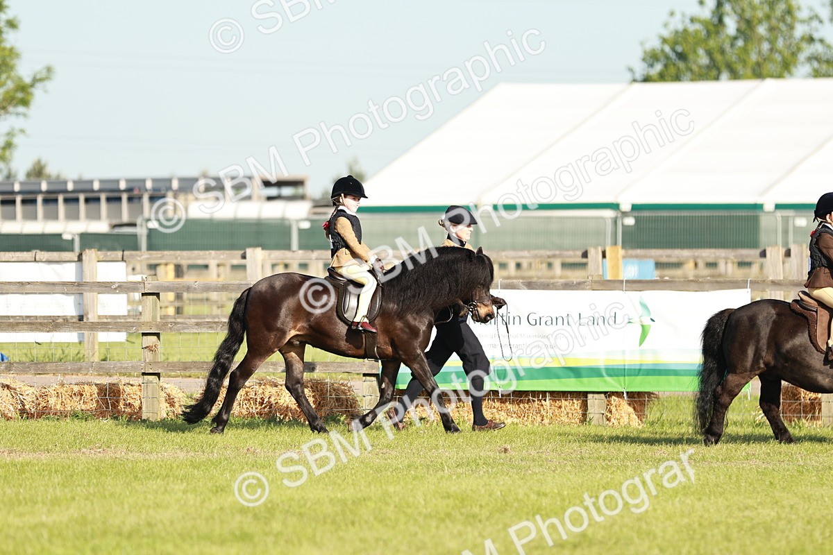 SBM_11029 - Class 106-107 - BSPS LIHS Working Sports Pony