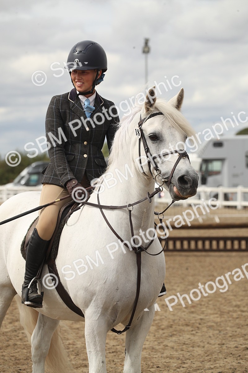 SBM_17680 - Class 508a - Working Veteran 70cm (15-19)