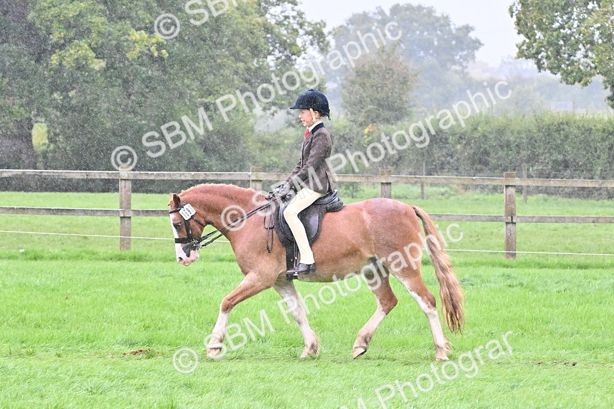 SBM_72470 - S43 - Ridden Equitation Best Rider