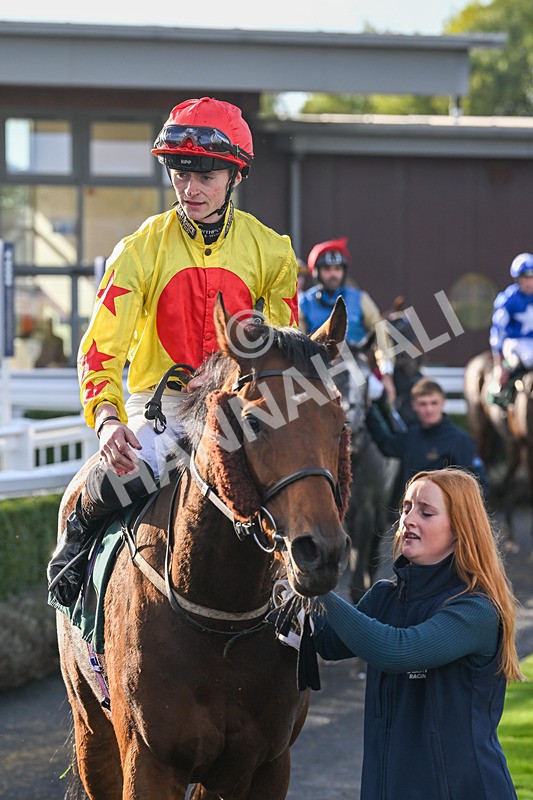 191024-Race 5-Vince Le Prince-4520 - Race 5